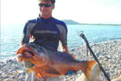 red snapper panama
