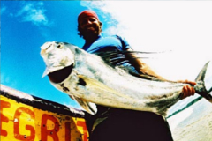 panama roosterfish