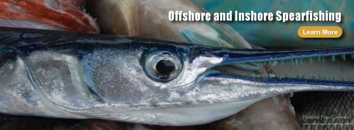 panama spearfishing