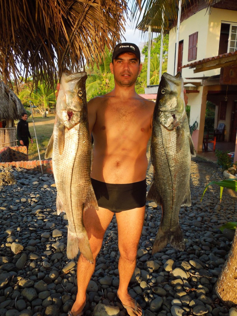 snook in panama