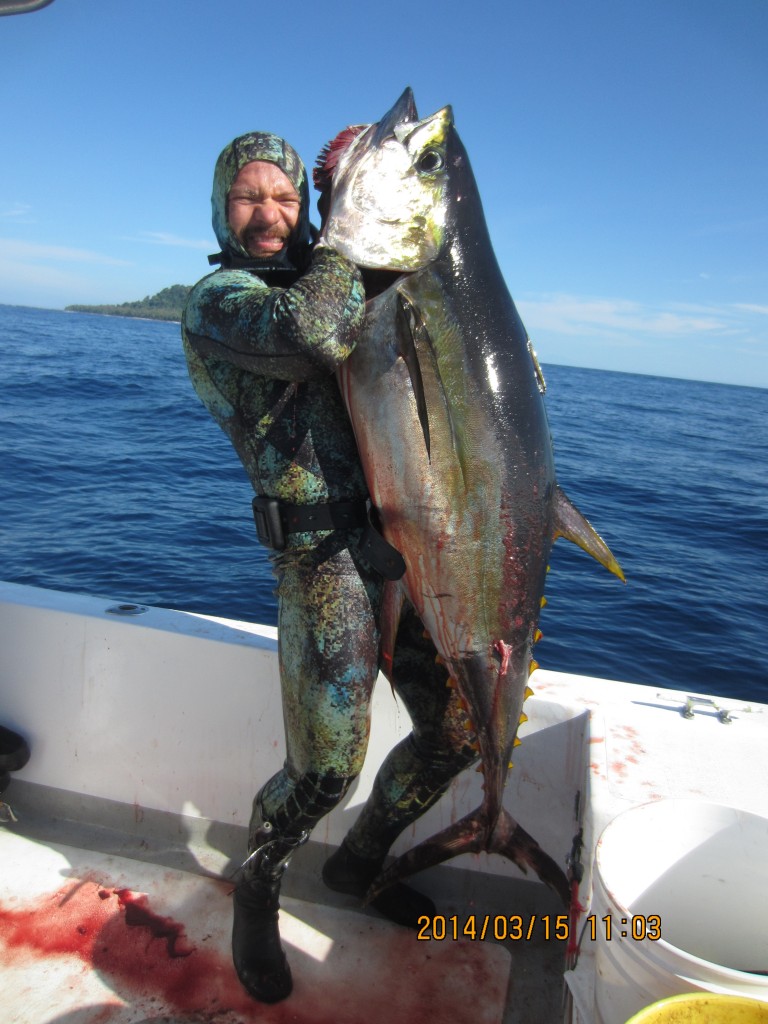 Yellowfin tuna panama