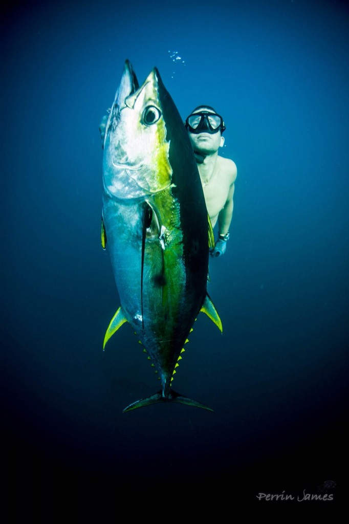 Panama tuna trip