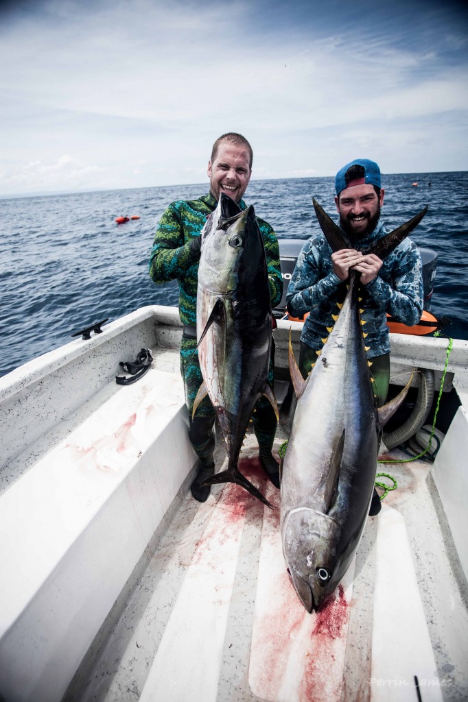 new jersey yellowfin tuna