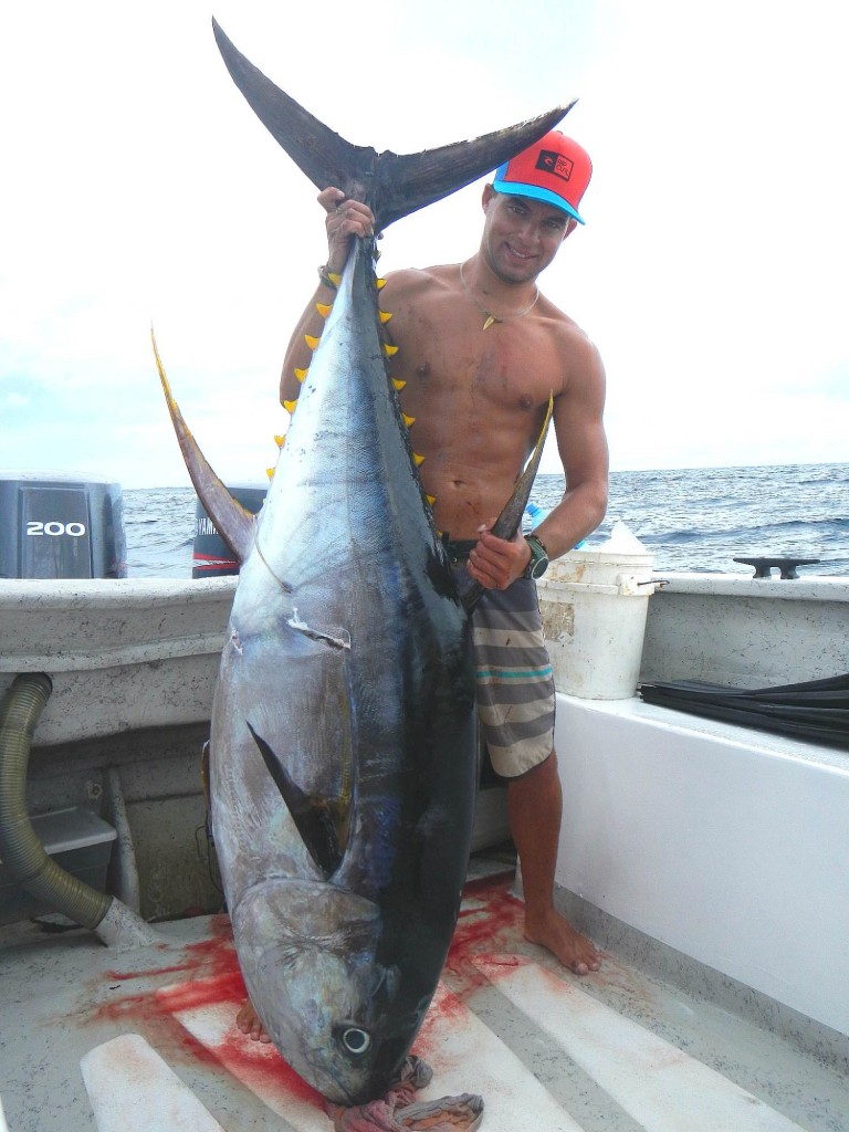 Yellowfin tuna panama