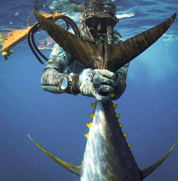 Andre Slip Tips – Blue Tuna Spearfishing Co