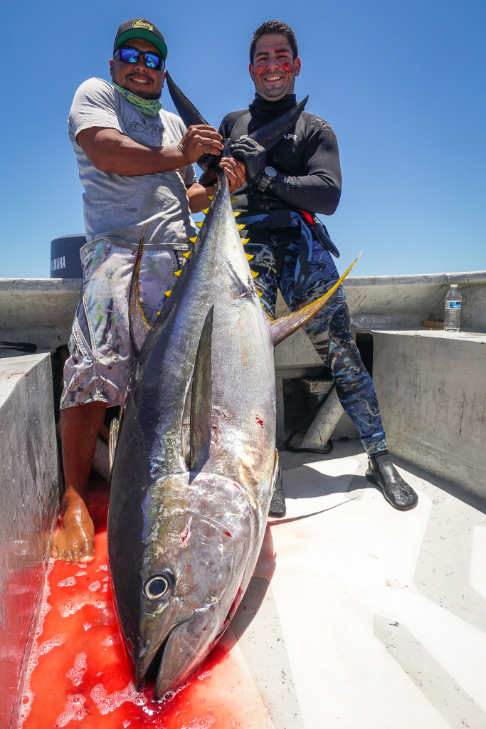 Spearfishing Panama (24 of 91)